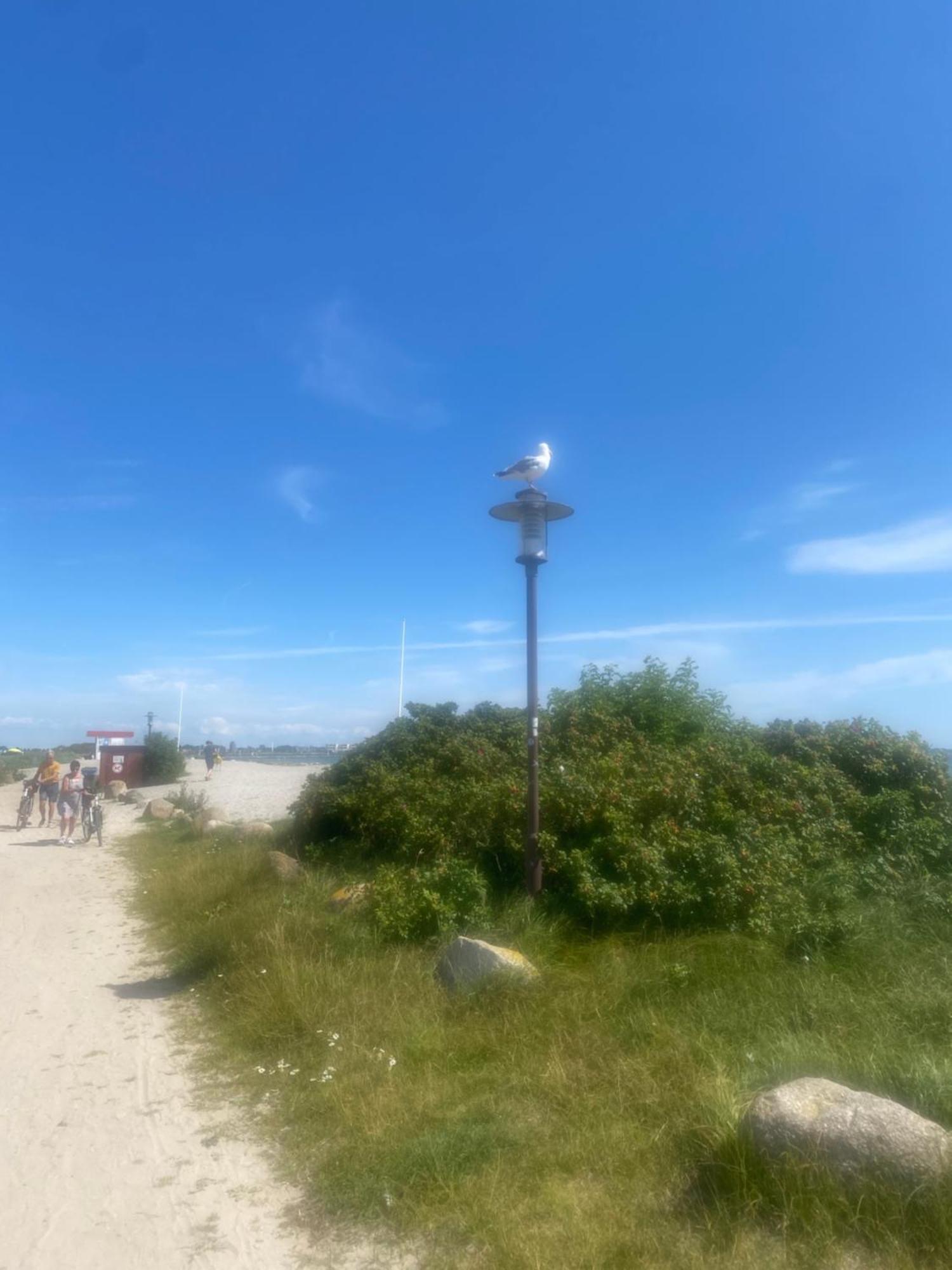 Wohnwagen Auf Dem Wulfenerhals Ca 150M Bis Zum Meer Fehmarn Esterno foto